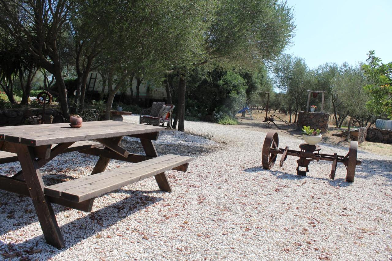 Agriturismo Pira Pinta Dorgali Ngoại thất bức ảnh