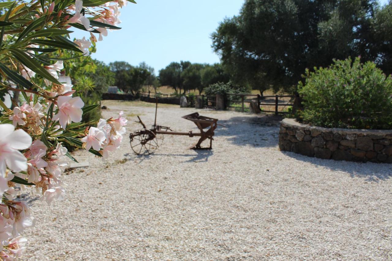 Agriturismo Pira Pinta Dorgali Ngoại thất bức ảnh