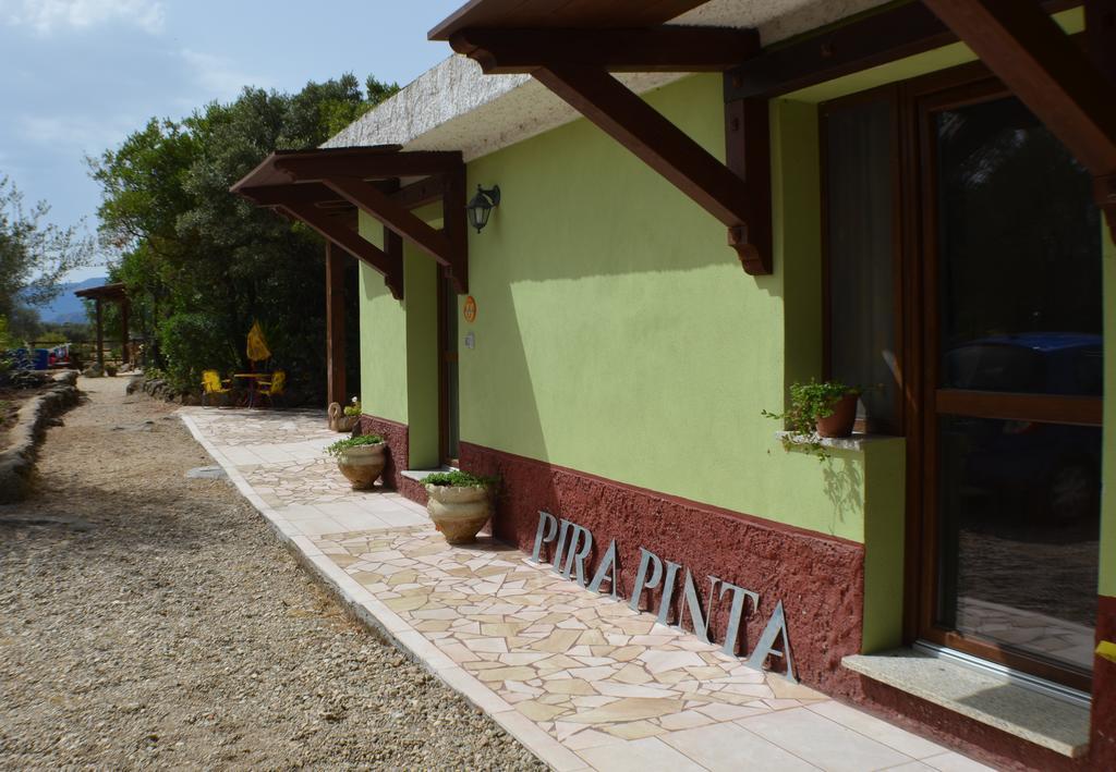 Agriturismo Pira Pinta Bed & Breakfast Dorgali Phòng bức ảnh