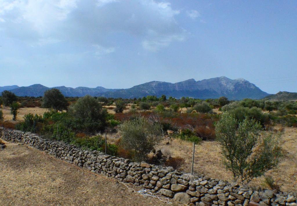 Agriturismo Pira Pinta Dorgali Ngoại thất bức ảnh